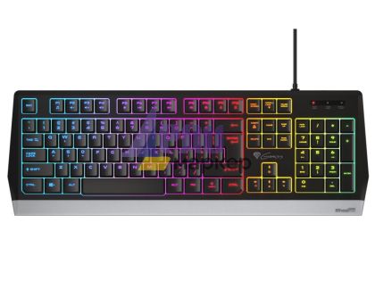 Клавиатура Genesis Gaming Keyboard Rhod 300 US Layout