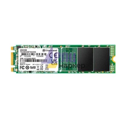 Твърд диск Transcend 250GB, M.2 2280 SSD, SATA3 B+M Key, TLC