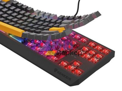 Клавиатура Genesis Gaming Keyboard Thor 230 TKL Anchor Gray Positive US RGB Mechanical Outemu Red