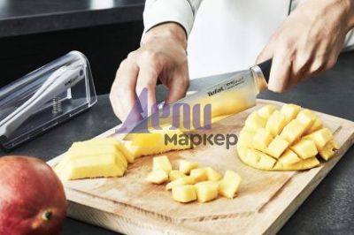 Нож Tefal K2569004 SET KNIFE+SHARPENER EVERSHARP