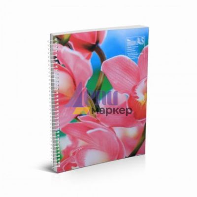 Тетрадка Multiprint Меки корици, спирала, 2 теми, B5 100 л. с широки редове