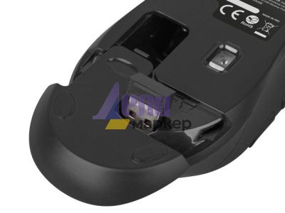 Мишка Natec Mouse Robin wireless 1600dpi blue