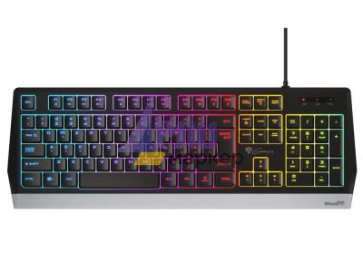 Клавиатура Genesis Gaming Keyboard Rhod 300 US Layout