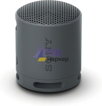 Тонколони Sony SRS-XB100 Portable Bluetooth Speaker, black